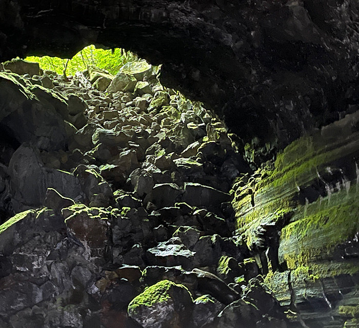 Looking out the entrance to Falls Creek Cave